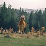 Carpe Diem * Pamporovo
