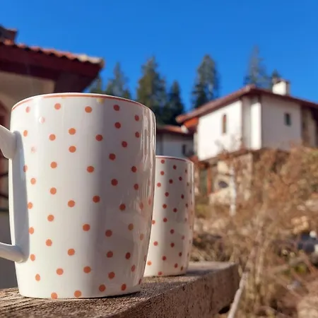 Carpe Diem Villa *
