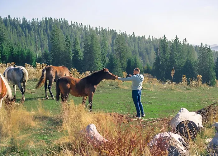 Carpe Diem Pamporowo